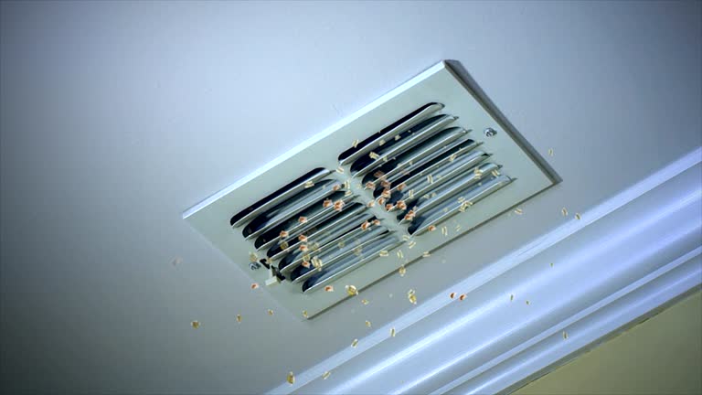 Best Duct Cleaning Specialists  in Mitchell, SD